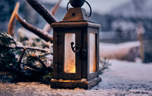 Sissis Green Chalets Hubertus - Photo 26