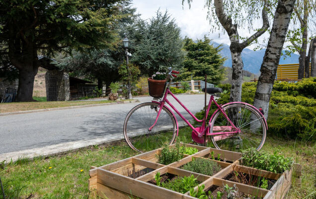 Chaouette - Photo 18