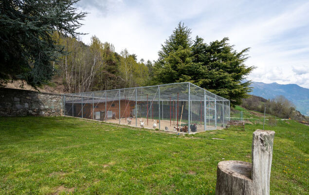 Chaouette - Photo 26