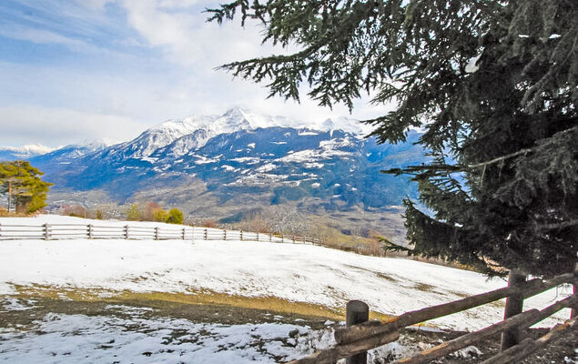 Chaouette - Photo 31