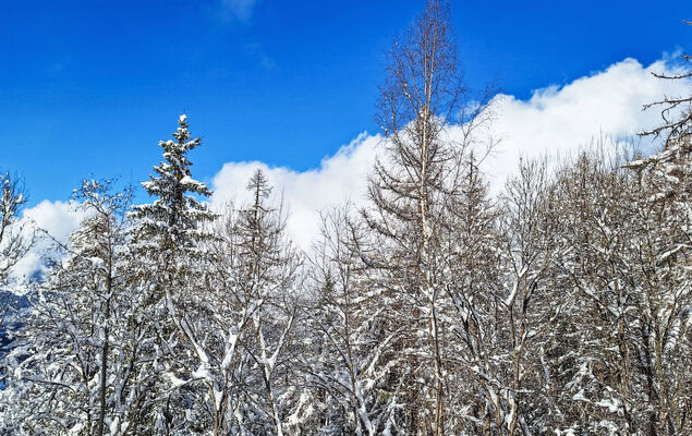 Bellentre Chalet le Pommier 5 - Photo 48