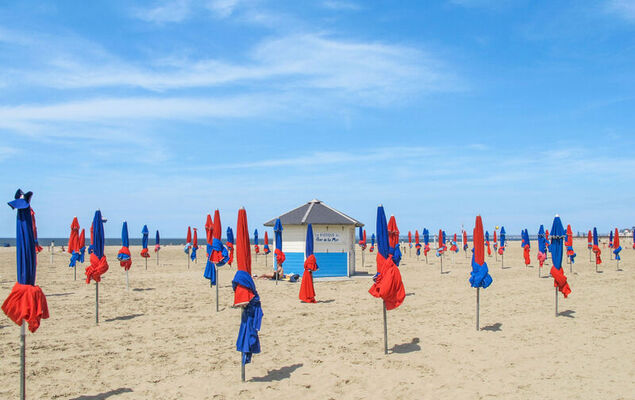 Mignonnette - Photo 21