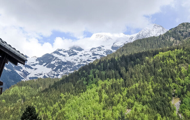 Le Brûlaz - Photo 14