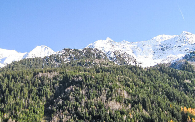 Le Brûlaz - Photo 15